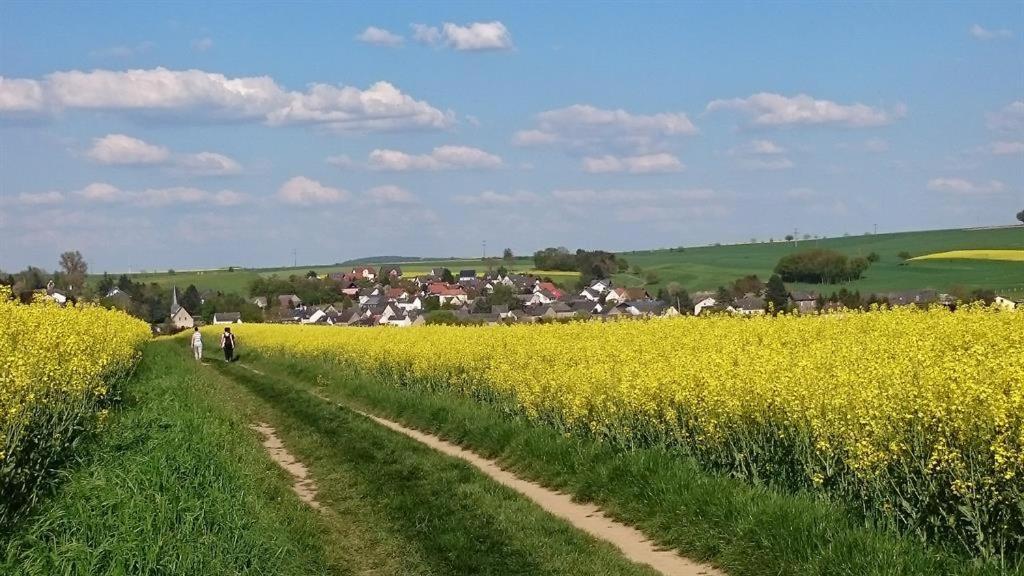 Ferienwohnung Maifeld Wierschem Exteriör bild