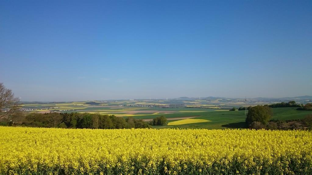 Ferienwohnung Maifeld Wierschem Exteriör bild
